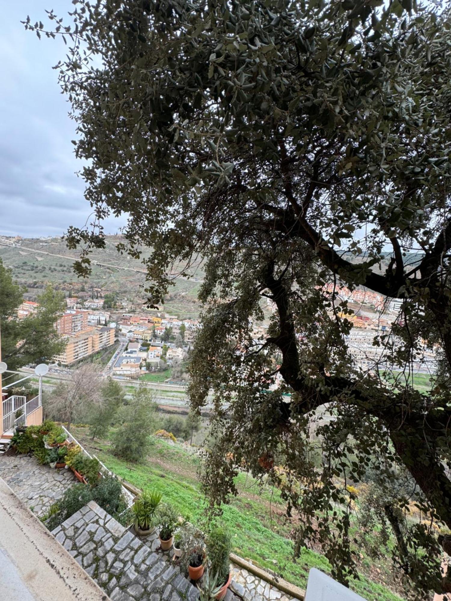 Slabonhome Serrallo Granada Kültér fotó